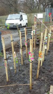 mini orchard