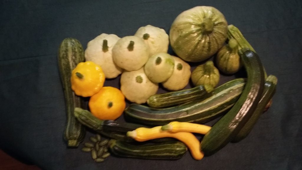 It's like a harvest festival